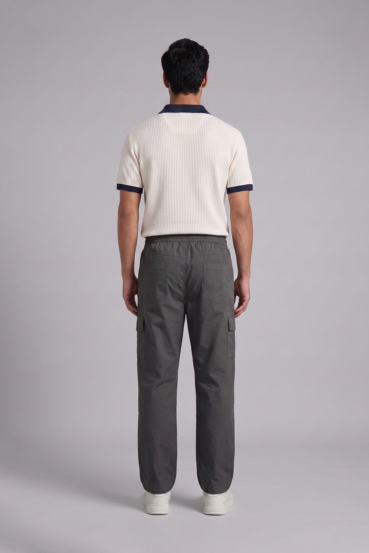 Alloy Grey Straight Fit Air Cargo Pants for men — back view