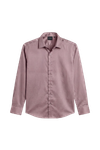 Mist Lavender